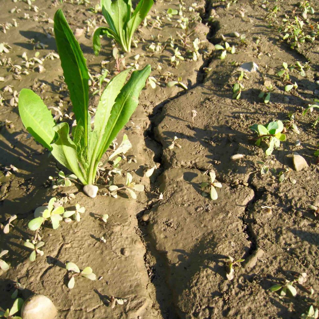 erosione idrica