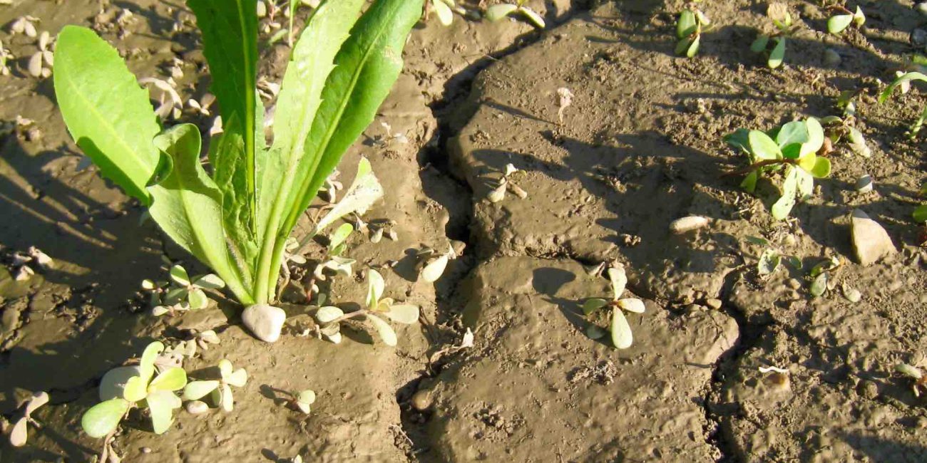 erosione idrica